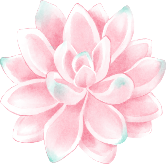 Elegant Watercolor Pink Succulent